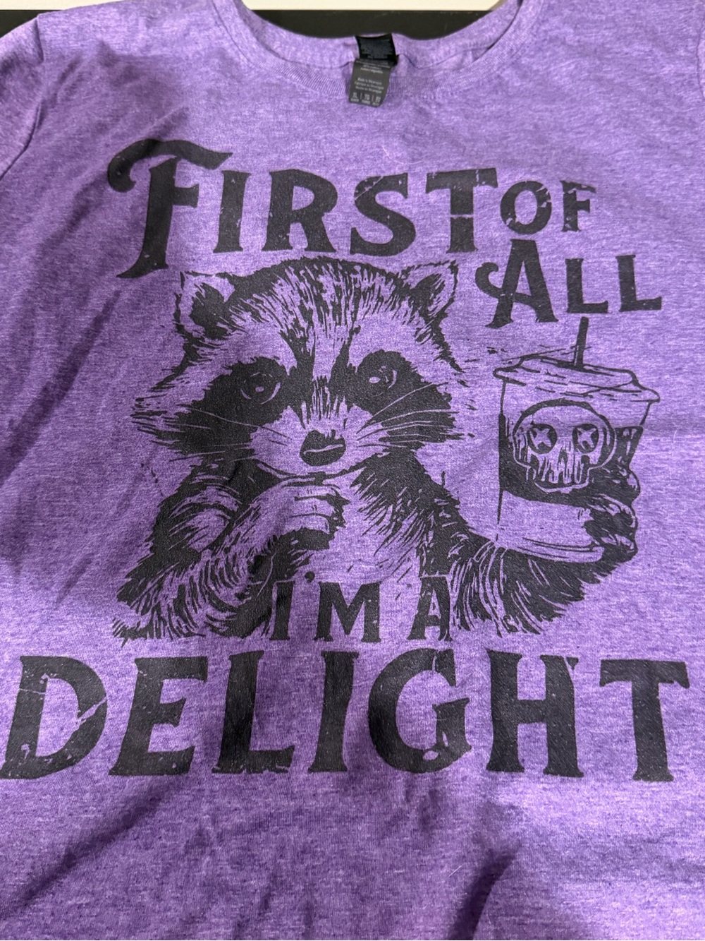Purple Graphic Tee with Raccoon 'First of All I'm a Delight'
